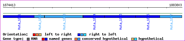 gene map
