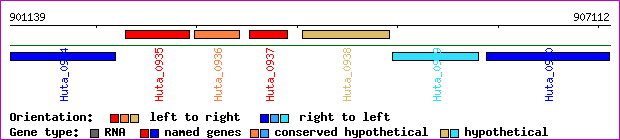 gene map