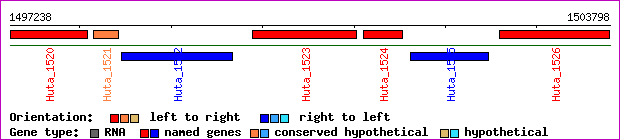 gene map