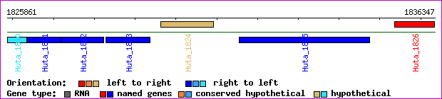 gene map