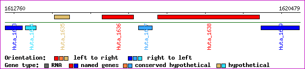 gene map