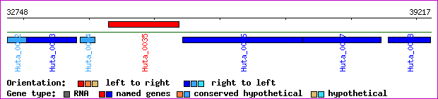 gene map