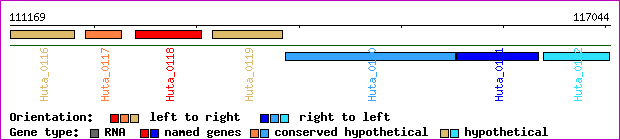 gene map
