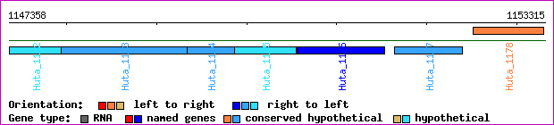 gene map