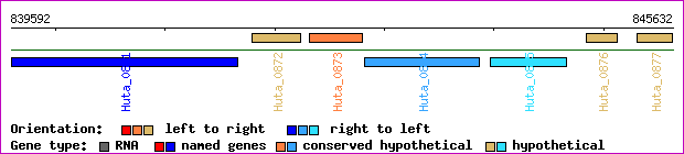 gene map