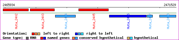 gene map