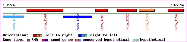 gene map