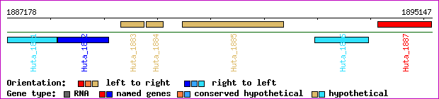 gene map