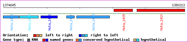gene map