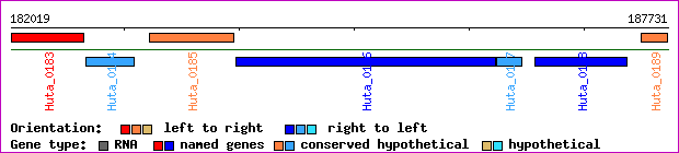 gene map