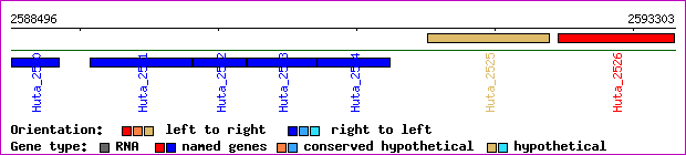 gene map
