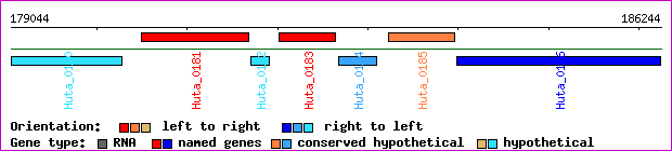 gene map