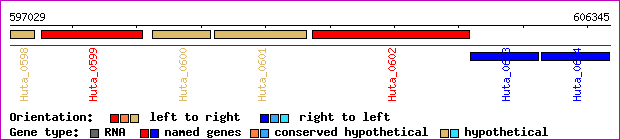 gene map