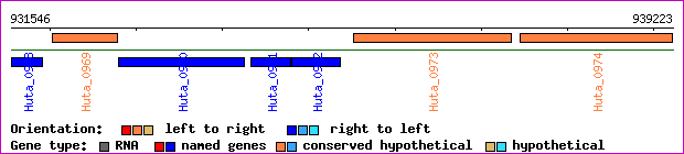 gene map