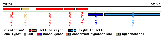 gene map