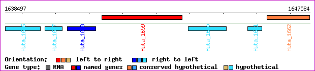 gene map