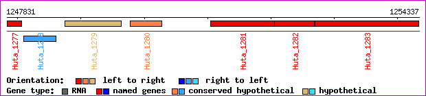 gene map