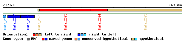 gene map