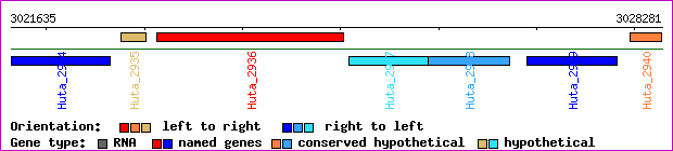 gene map