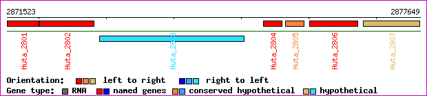 gene map