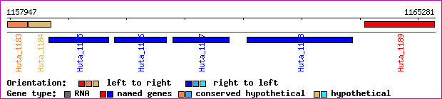 gene map