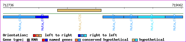 gene map