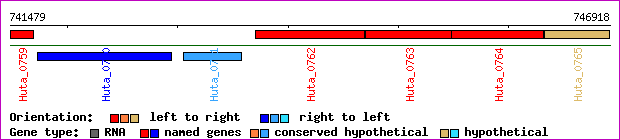gene map