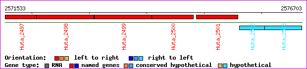 gene map