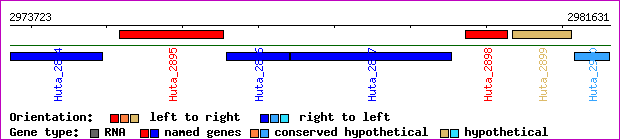 gene map