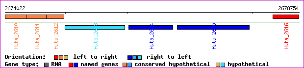 gene map