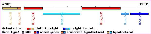 gene map