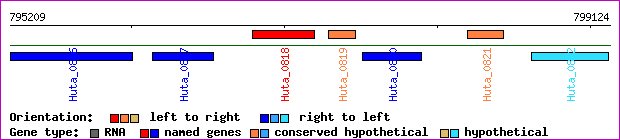 gene map