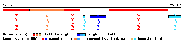 gene map