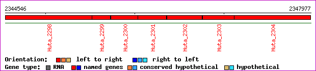 gene map