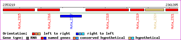 gene map