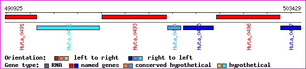 gene map