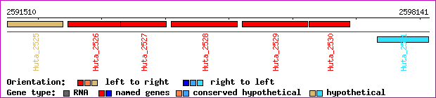 gene map