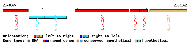 gene map