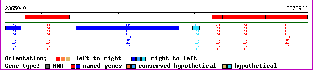gene map