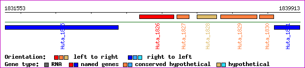 gene map