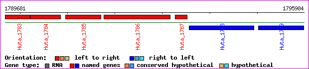 gene map