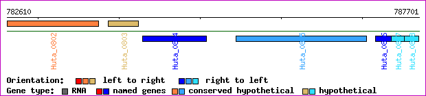 gene map