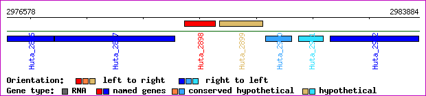 gene map