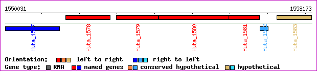 gene map