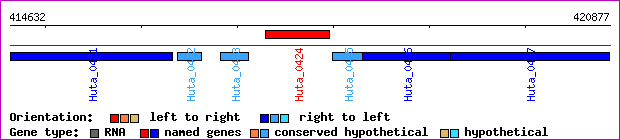 gene map