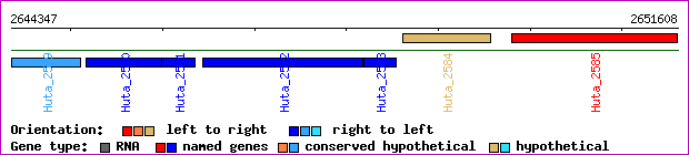 gene map