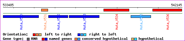 gene map