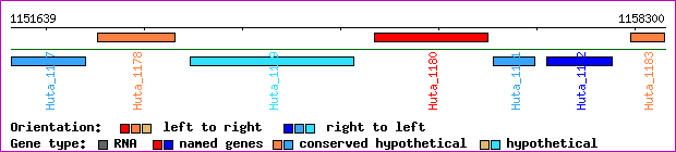 gene map
