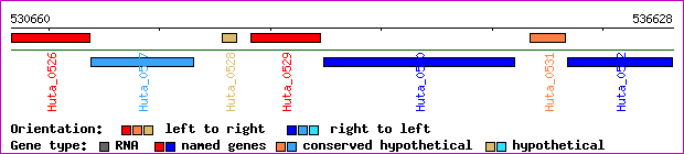 gene map