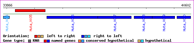 gene map